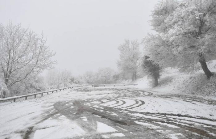 what is this phenomenon observed in several regions of France in recent days? – Liberation