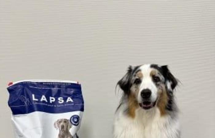 our dog Oria tested the kibbles from the Integral Large Breed range