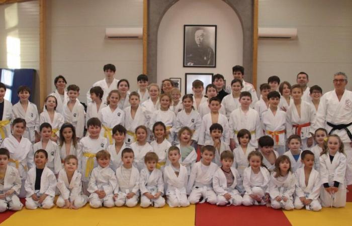 the Judo Club labeled “bronze” by France Judo