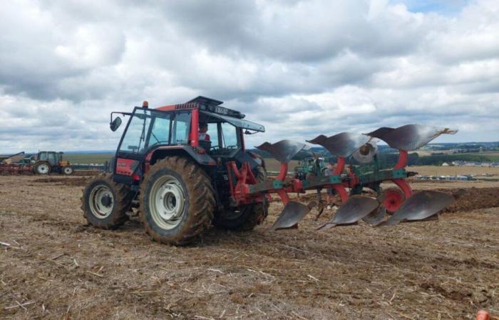 Paul is Orne plowing champion, at only 17 years old