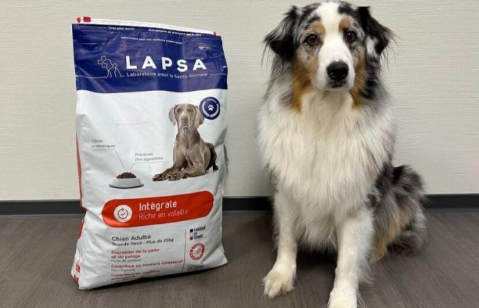 our dog Oria tested the kibbles from the Integral Large Breed range