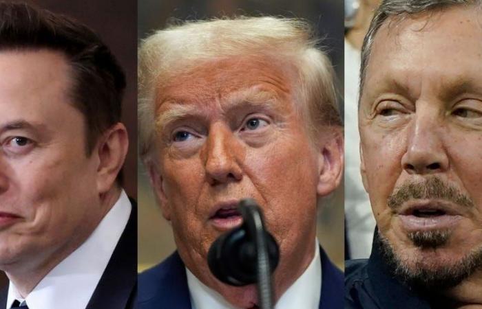 Elon Musk or Larry Ellison Could Buy TikTok, Trump Says