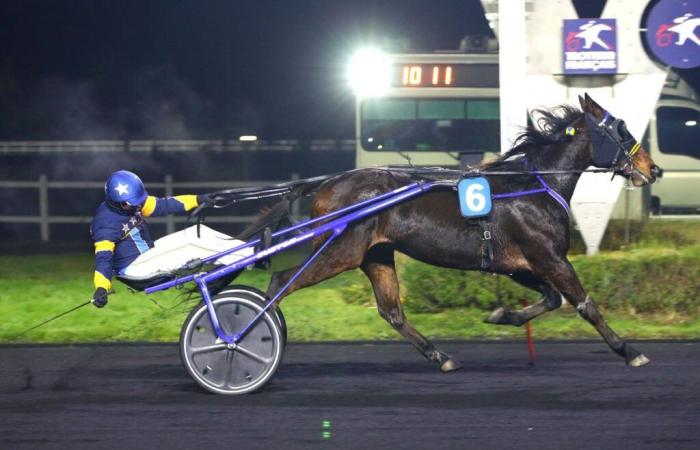 Barnaba Baba wins the Prix de Saint-Omer this Tuesday at Vincennes