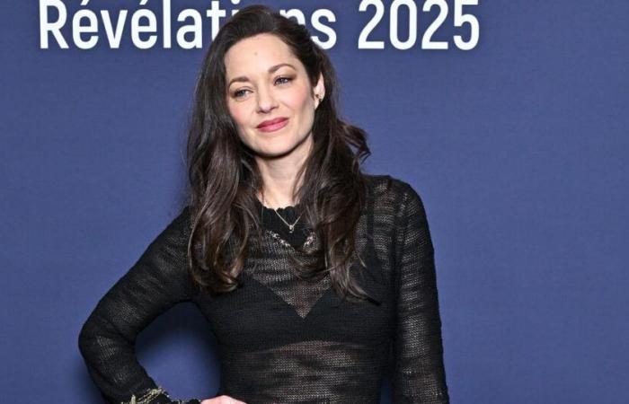 Marion Cotillard and her long transparent Chanel dress captivate the evening of the César Revelations