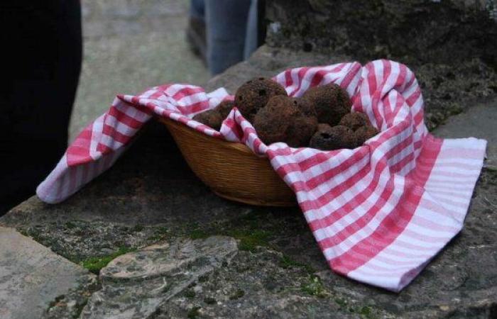 A small truffle market – Le Petit Journal