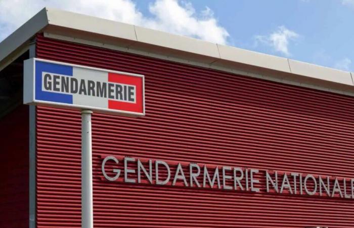 significant cigarette trafficking dismantled by the gendarmes