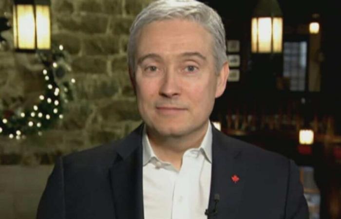 Canada essential to “put America back at the heart of the world economy”, according to François-Philippe Champagne