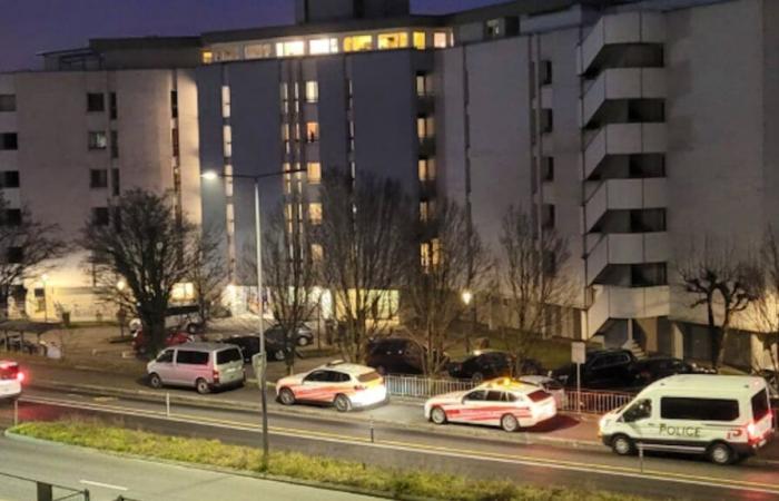 Incident in Lausanne: one injured by gunshot in Malley