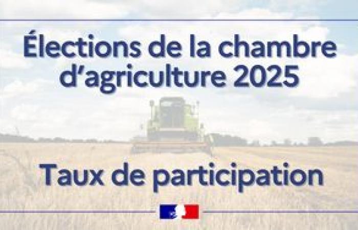 Participation rate: Agriculture chamber elections: – January 2025 – News 2025 – News