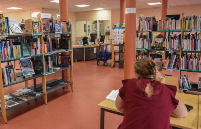 despite an increase in registrations, this town postpones the extension of its media library