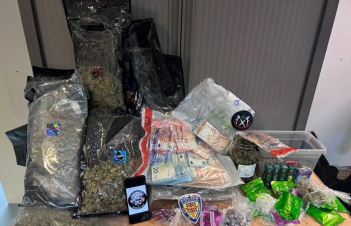 an imprisoned “nanny”, 32 kg of cannabis seized in her apartment