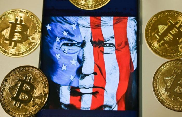 “Shit coin”, “a caricature”… Why we should be wary of the American president’s cryptocurrency