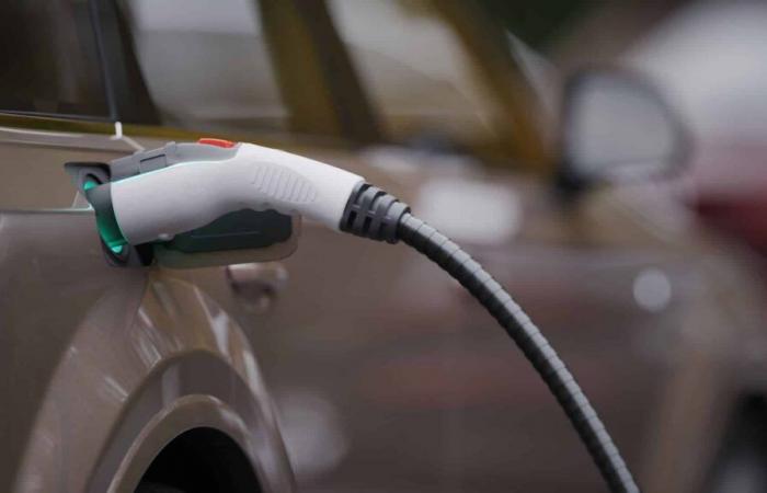 New study shows growing number of Americans are skeptical of research-backed EV claim: ‘No technology is perfect’