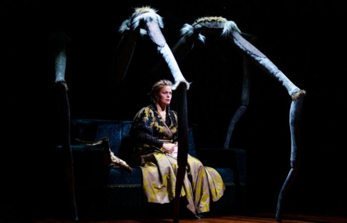 “A doll’s house”: when the art of puppetry takes on new heights