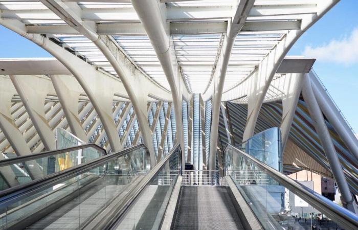 Too many escalators and conveyor belts at Guillemins station #outage