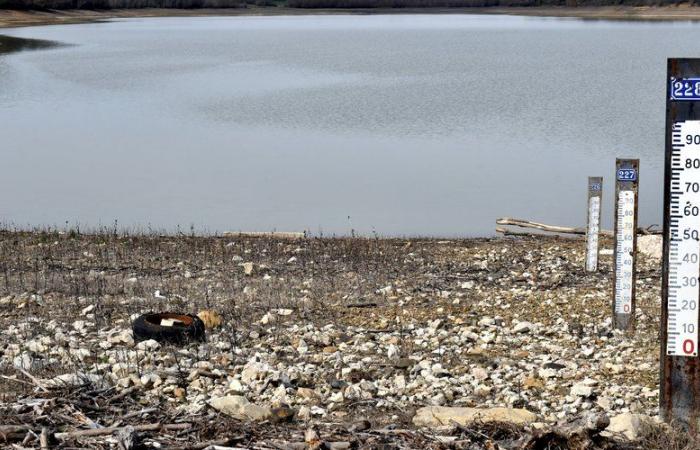 Risk of drought: how Haute-Garonne is already preparing for summer 2025