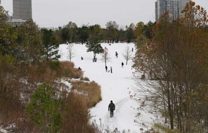 From Texas to Florida, a rare winter storm brings historic snowfall : The Picture Show : NPR