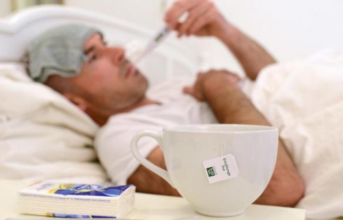 Seasonal flu cases are declining in Switzerland – rts.ch