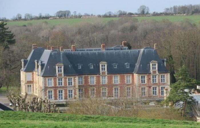 Furniture from a Yvelines castle sold off at auction: after the “monumental blunder”, the Court of Auditors cracks down