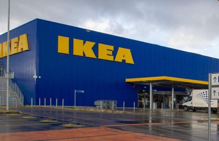 Evacuation: a fire in progress at the Ikea store in Aubonne