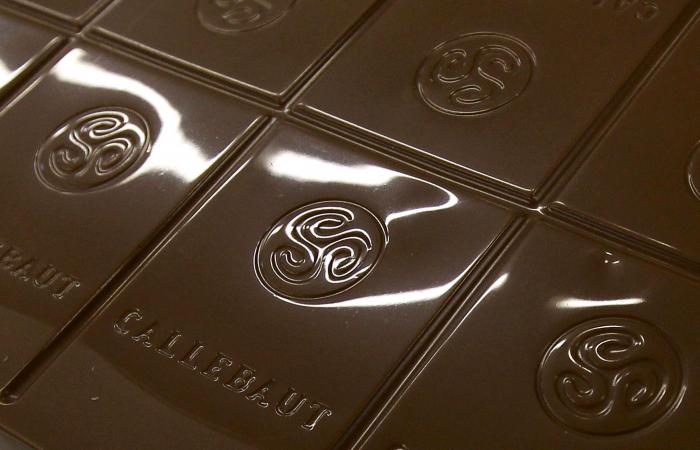 Barry Callebaut: Volumes fall in Q1 with the surge in cocoa prices – HEADLINE