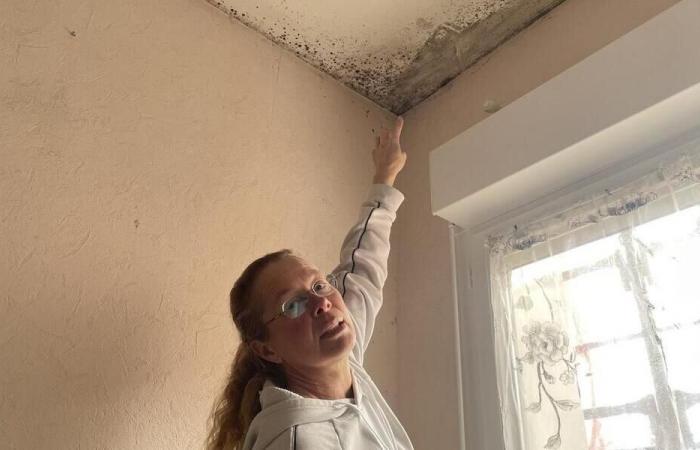 “We are afraid here”: this mother’s home is invaded by mold, she is not