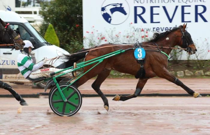 Wednesday in Cagnes – Prix Tigre Royal: The Cashmaker rehabilitates himself