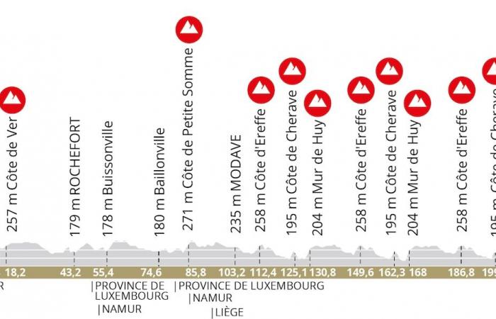 The route of the Ardennes classics was presented: “We hope for the duel between Pogacar and Evenepoel”