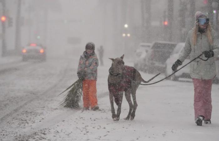 New Orleans hit by rare snowstorm