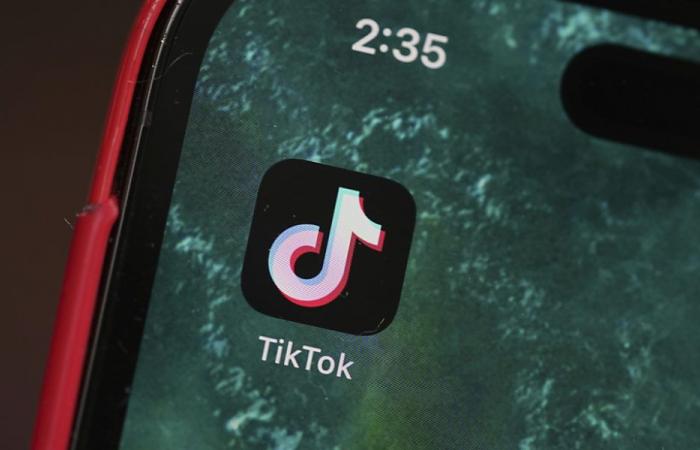 Trump in favor of a takeover of TikTok by Musk – lfm.ch