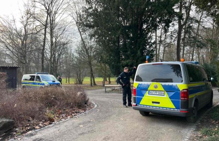 two dead including a child in an Aschaffenburg park