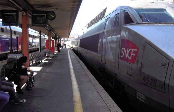 many trains canceled and delays at stations after the death of an SNCF agent