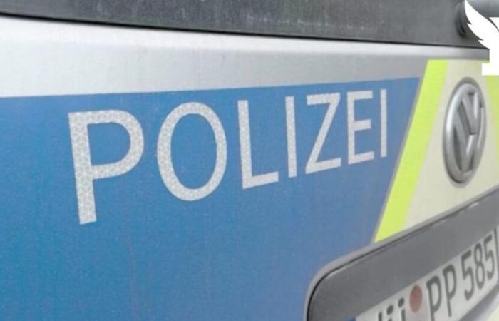 two dead, including a 2-year-old child, during a knife attack in a park in Bavaria