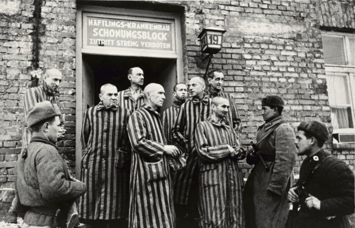 “What I saw at Auschwitz”: behind the barbed wire of the death camp, with Alter Fajnzylberg