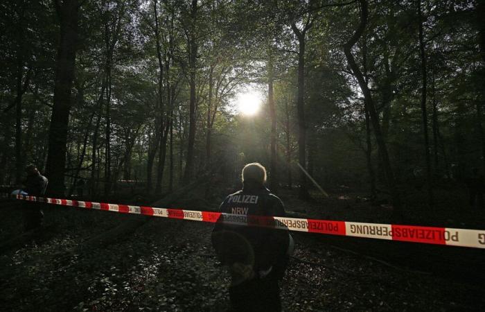 Germany: two dead, including a child, stabbed in a park