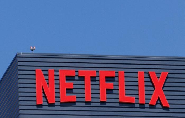 Profits on the rise, subscribers in attendance: Netflix impresses