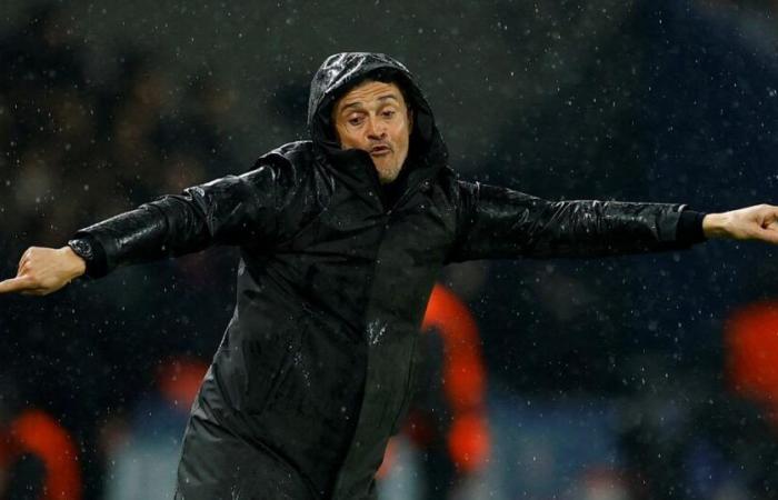 the words of Luis Enrique after PSG-Manchester City