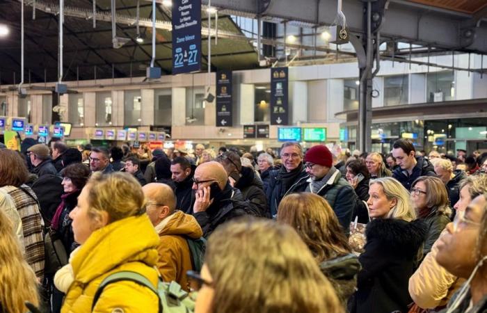 SNCF. Train traffic interrupted between Normandy and Paris, what is happening?