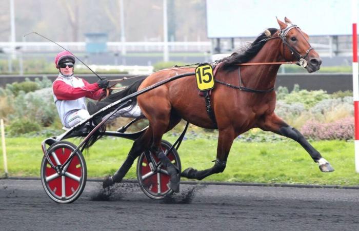 Saturday January 25, 2025 at Paris-Vincennes: let the show begin! – Paris Turf