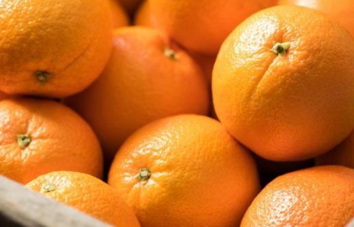 Morocco sets a record for orange exports to the United States – AgriMaroc.ma