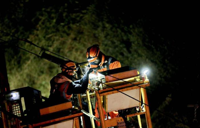 Death of a worker on an SNCF construction site in Toulon: renewal of catenaries at a standstill