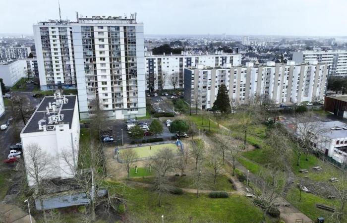 Murder of Denis in Lorient: the suspect heard in another case for attempted murder