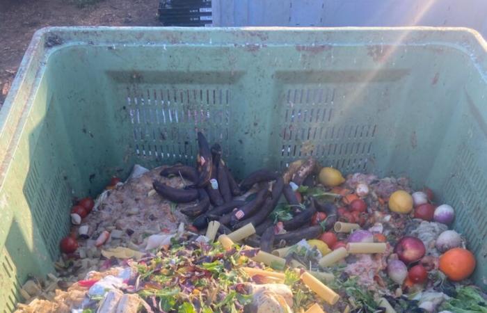 The Gard Rhone Agglomeration and the Équi-libre association join forces to reduce food waste and help animals in distress