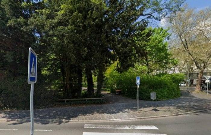 Knife attack in German park leaves two dead, including 2-year-old child