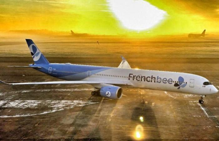 A Saint-Denis de la Réunion-Orly flight diverted to Châteauroux