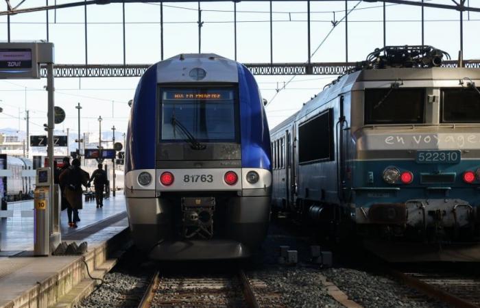 Train traffic interrupted between Marseille and Nice after the death of a worker on an SNCF construction site in Toulon