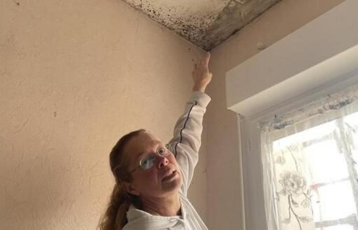 “We are afraid here”: this mother’s home is invaded by mold, she is not