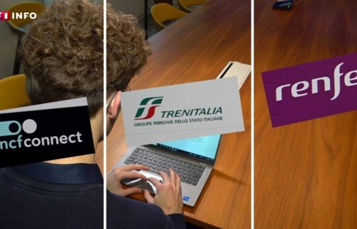 SNCF, Renfe, Trenitalia: which railway company is the most advantageous?