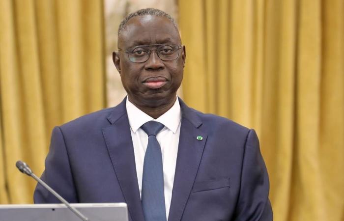 Senegal: ordinary revision of electoral lists from February 1 to July 31, 2025 | APAnews