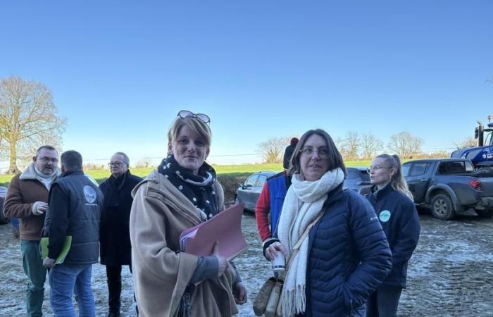 2025 election to the Manche Chamber of Agriculture | For Florence Goron, “women have their place on farms”